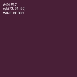 #491F37 - Wine Berry Color Image